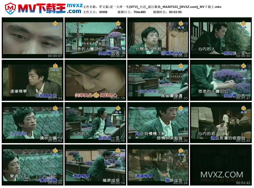 罗文聪-爱一天疼一冬(MTV)_台语_流行歌曲_MA307333